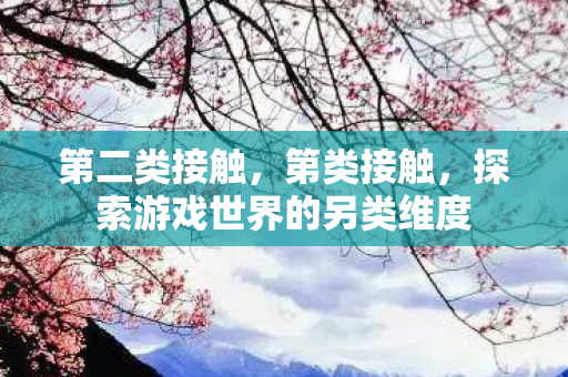 第二类接触，第类接触，探索游戏世界的另类维度