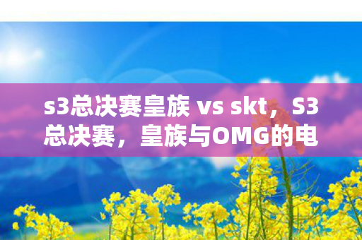 s3总决赛皇族 vs skt,S3总决赛,皇族与OMG的电竞盛宴 s3总决赛皇族 vs skt,S3总决赛,皇族与OMG的电竞盛宴