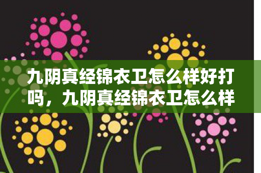 九阴真经锦衣卫怎么样好打吗，九阴真经锦衣卫怎么样，深度解析其游戏特色与玩法