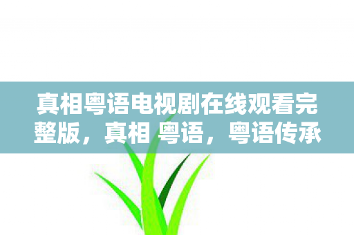 真相粤语电视剧在线观看完整版，真相 粤语，粤语传承与文化价值的探索