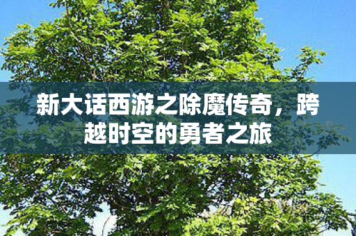 新大话西游之除魔传奇，跨越时空的勇者之旅