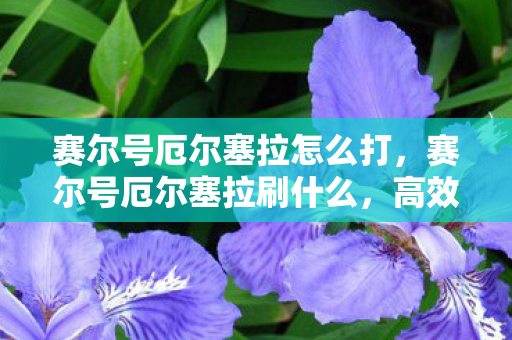 赛尔号厄尔塞拉怎么打，赛尔号厄尔塞拉刷什么，高效战斗与属性提升策略