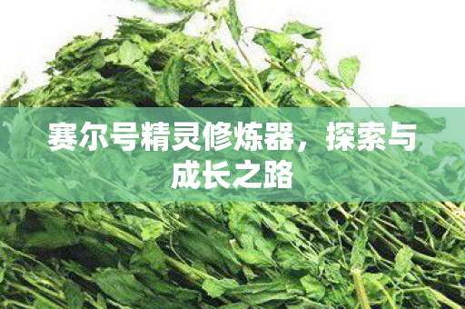 赛尔号精灵修炼器，探索与成长之路
