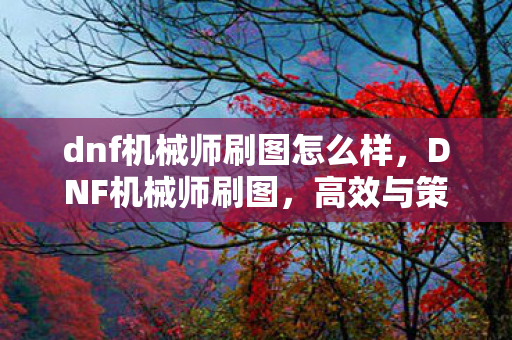 dnf机械师刷图怎么样，DNF机械师刷图，高效与策略的完美结合