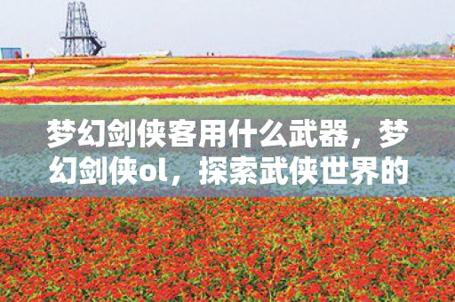 梦幻剑侠客用什么武器，梦幻剑侠ol，探索武侠世界的无尽魅力