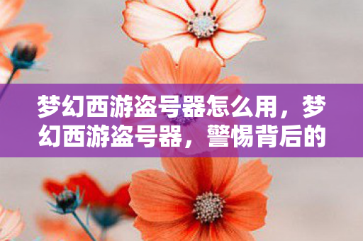 梦幻西游盗号器怎么用，梦幻西游盗号器，警惕背后的安全威胁
