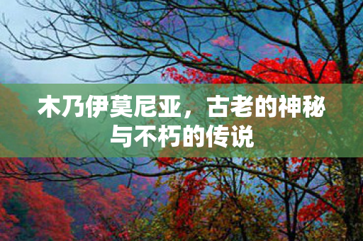 木乃伊莫尼亚，古老的神秘与不朽的传说