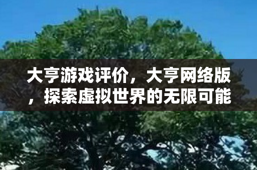 大亨游戏评价，大亨网络版，探索虚拟世界的无限可能