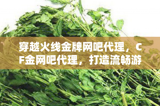 穿越火线金牌网吧代理，CF金网吧代理，打造流畅游戏体验的秘诀
