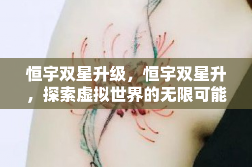 恒宇双星升级，恒宇双星升，探索虚拟世界的无限可能