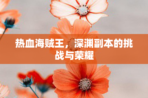 热血海贼王，深渊副本的挑战与荣耀