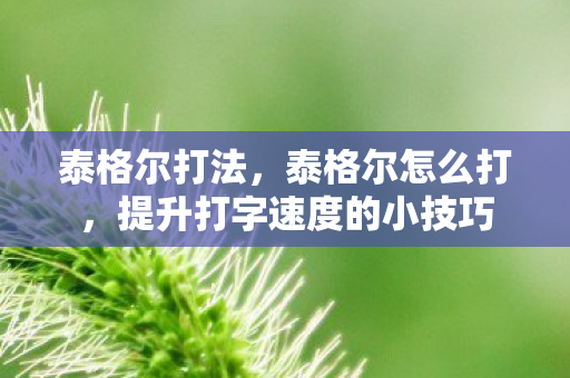 泰格尔打法，泰格尔怎么打，提升打字速度的小技巧