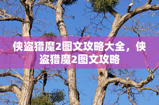 侠盗猎魔2图文攻略大全，侠盗猎魔2图文攻略