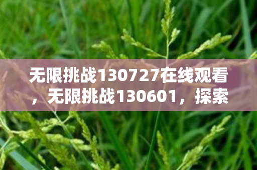 无限挑战130727在线观看，无限挑战130601，探索未知，突破自我