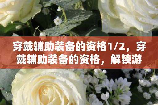 穿戴辅助装备的资格1/2，穿戴辅助装备的资格，解锁游戏新境界的钥匙