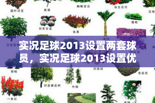 实况足球2013设置两套球员，实况足球2013设置优化指南，打造流畅游戏新体验