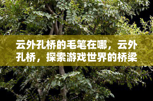 云外孔桥的毛笔在哪，云外孔桥，探索游戏世界的桥梁
