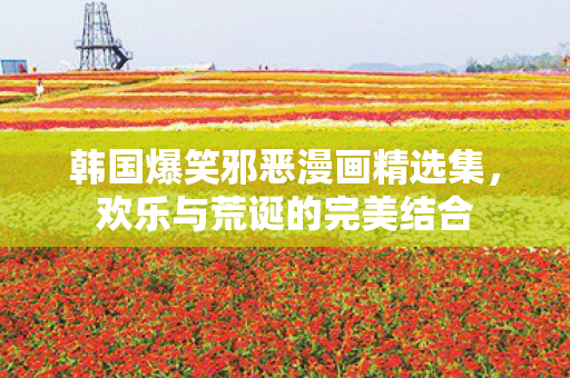 韩国爆笑邪恶漫画精选集，欢乐与荒诞的完美结合