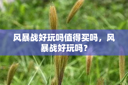 风暴战好玩吗值得买吗，风暴战好玩吗？