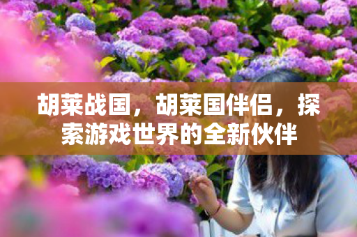 胡莱战国，胡莱国伴侣，探索游戏世界的全新伙伴