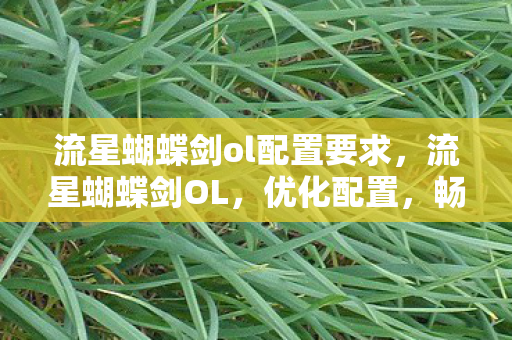 流星蝴蝶剑ol配置要求，流星蝴蝶剑OL，优化配置，畅享丝滑体验