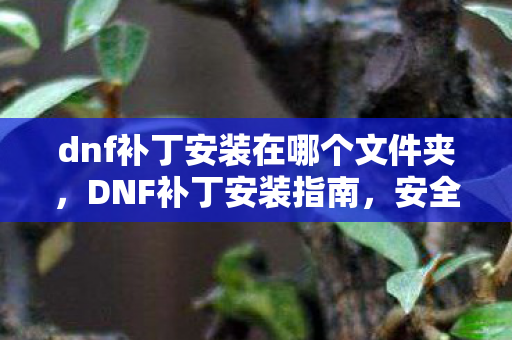 dnf补丁安装在哪个文件夹，DNF补丁安装指南，安全、高效、合规的补丁存放位置