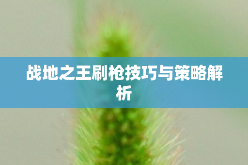 战地之王刷枪技巧与策略解析