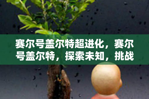 赛尔号盖尔特超进化，赛尔号盖尔特，探索未知，挑战极限