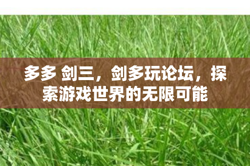 多多 剑三，剑多玩论坛，探索游戏世界的无限可能