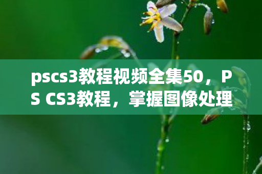 pscs3教程视频全集50，PS CS3教程，掌握图像处理与设计的必备技能