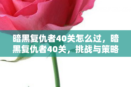 暗黑复仇者40关怎么过，暗黑复仇者40关，挑战与策略的深度剖析