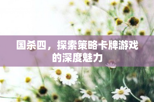 国杀四，探索策略卡牌游戏的深度魅力