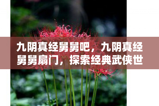 九阴真经舅舅吧，九阴真经舅舅扇门，探索经典武侠世界的独特魅力