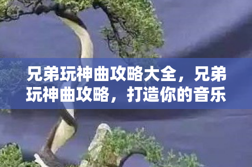 兄弟玩神曲攻略大全，兄弟玩神曲攻略，打造你的音乐王国