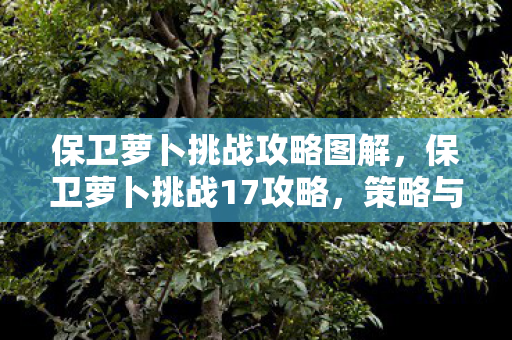 保卫萝卜挑战攻略图解，保卫萝卜挑战17攻略，策略与技巧详解