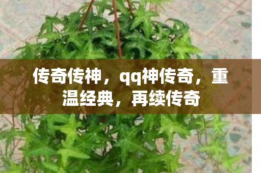 传奇传神,qq神传奇,重温经典,再续传奇 传奇传神,qq神传奇,重温经典,再续传奇