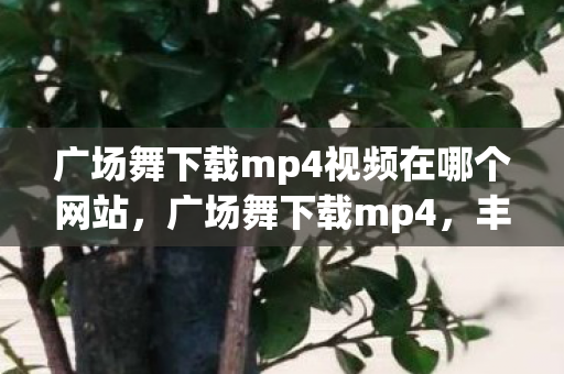 广场舞下载mp4视频在哪个网站,广场舞下载mp4,丰富选择,便捷共享 广场舞下载mp4视频在哪个网站,广场舞下载mp4,丰富选择,便捷共享