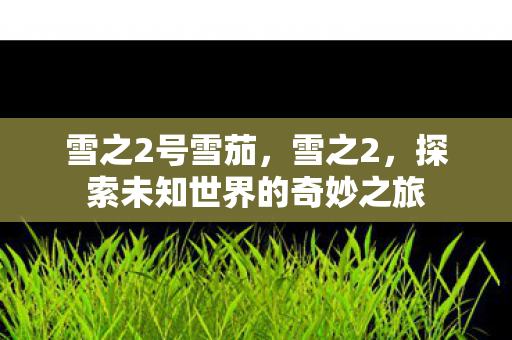 雪之2号雪茄,雪之2,探索未知世界的奇妙之旅 雪之2号雪茄,雪之2,探索未知世界的奇妙之旅