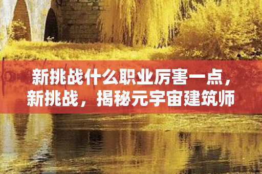 新挑战什么职业厉害一点，新挑战，揭秘元宇宙建筑师的无限可能