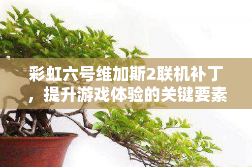 彩虹六号维加斯2联机补丁,提升游戏体验的关键要素 彩虹六号维加斯2联机补丁,提升游戏体验的关键要素