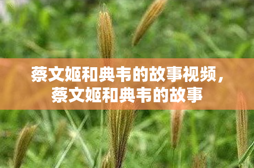 蔡文姬和典韦的故事视频，蔡文姬和典韦的故事