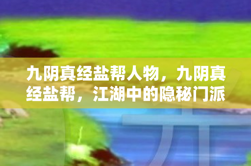 九阴真经盐帮人物，九阴真经盐帮，江湖中的隐秘门派