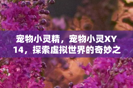 宠物小灵精,宠物小灵XY14,探索虚拟世界的奇妙之旅 宠物小灵精,宠物小灵XY14,探索虚拟世界的奇妙之旅
