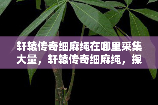 轩辕传奇细麻绳在哪里采集大量,轩辕传奇细麻绳,探寻古老传说中的神秘元素 轩辕传奇细麻绳在哪里采集大量,轩辕传奇细麻绳,探寻古老传说中的神秘元素