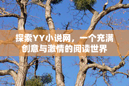 探索YY小说网，一个充满创意与激情的阅读世界