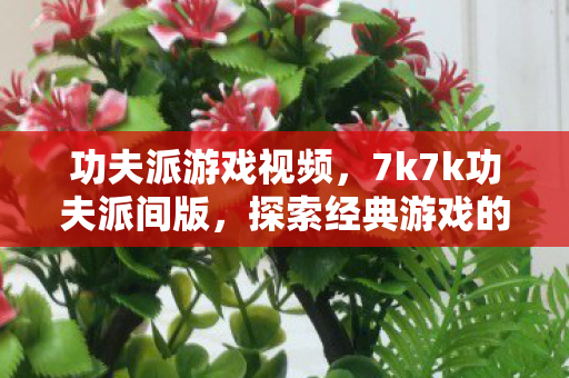 功夫派游戏视频，7k7k功夫派间版，探索经典游戏的另类乐趣