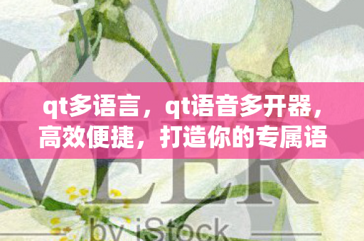 qt多语言，qt语音多开器，高效便捷，打造你的专属语音聊天环境