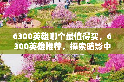 6300英雄哪个最值得买，6300英雄推荐，探索暗影中的刺客—影流之主劫