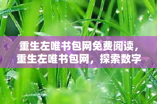 重生左唯书包网免费阅读，重生左唯书包网，探索数字阅读的无限可能