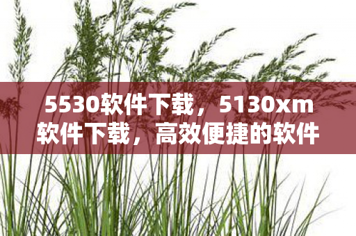 5530软件下载，5130xm软件下载，高效便捷的软件获取方式